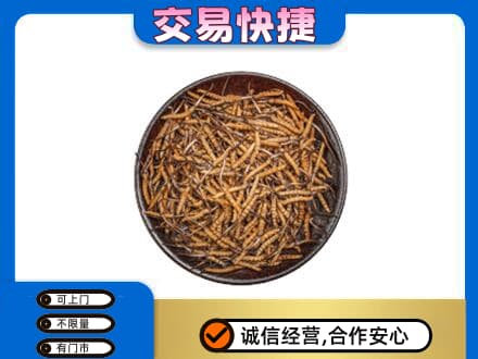 哈密市伊州回收散虫草